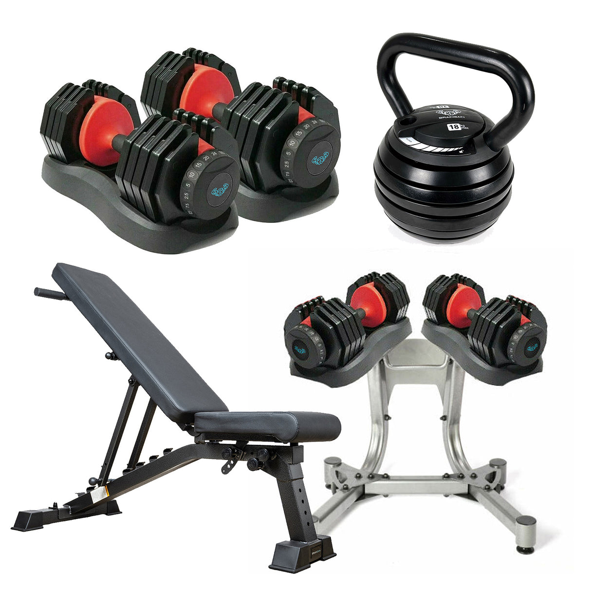 BRAINGAIN Intermediate Gym Bundle